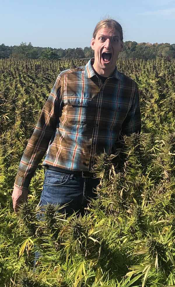 In a Maine CBD hemp field