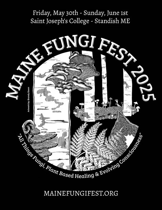 Maine Fungi Fest 2025 image 